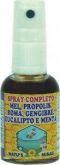 Spray Completo (Mel, Própolis, Romã, Gengibre, Eucalipto e Menta) 30 ml