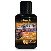 L-CARNITINA 2G ANDROXYCUT POWER SUPPLEMENTS - 480ML